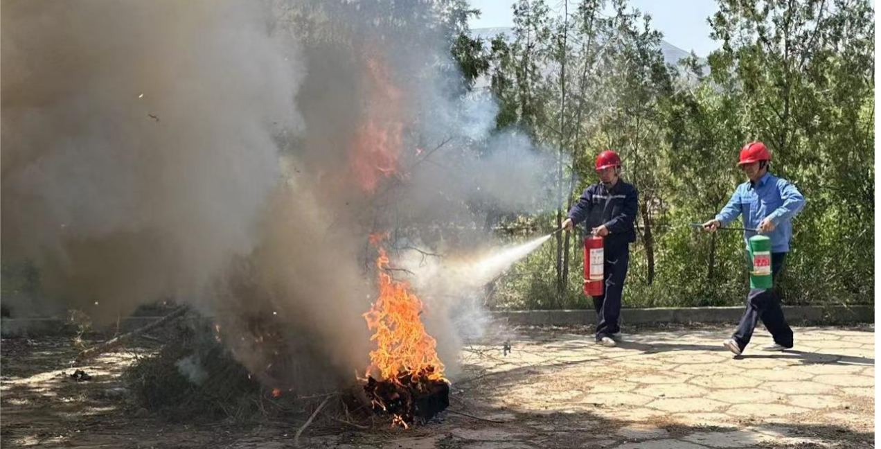 圖片2.png 圖片2.png